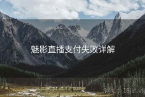 魅影直播支付失败详解