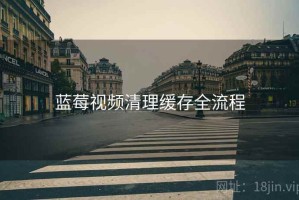 蓝莓视频清理缓存全流程