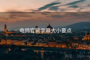 电鸽官网字幕大小要点