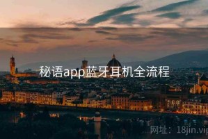 秘语app蓝牙耳机全流程