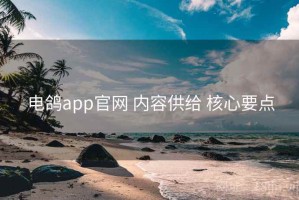 电鸽app官网 内容供给 核心要点