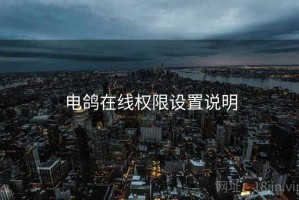 电鸽在线权限设置说明