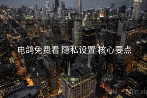 电鸽免费看 隐私设置 核心要点
