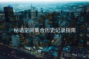 秘语空间集合历史记录指南