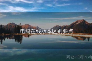 电鸽在线版本区别要点