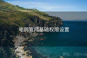 电鸽官网基础权限设置