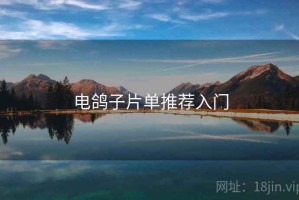 电鸽子片单推荐入门