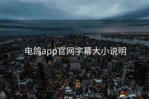 电鸽app官网字幕大小说明