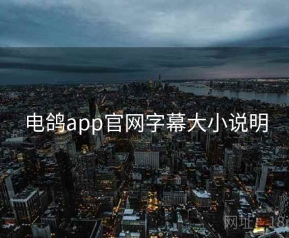 电鸽app官网字幕大小说明