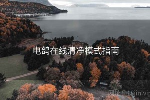 电鸽在线清净模式指南