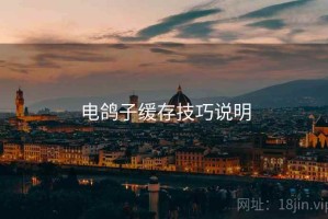 电鸽子缓存技巧说明