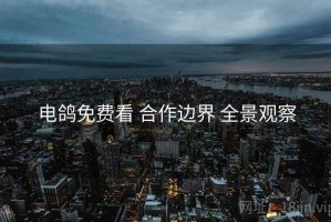 电鸽免费看 合作边界 全景观察