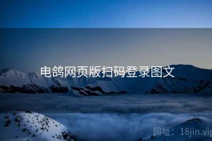 电鸽网页版扫码登录图文