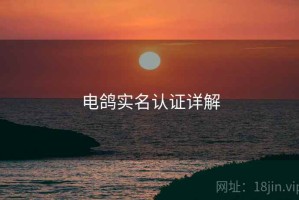 电鸽实名认证详解