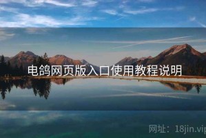 电鸽网页版入口使用教程说明