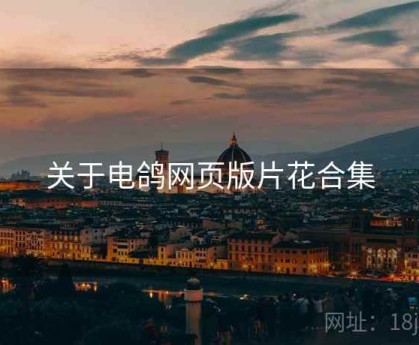 关于电鸽网页版片花合集
