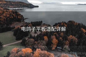 电鸽子平板适配详解