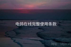 电鸽在线完整使用条款