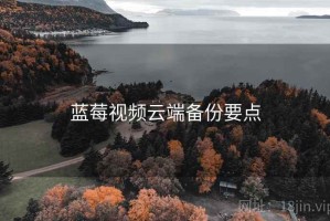 蓝莓视频云端备份要点