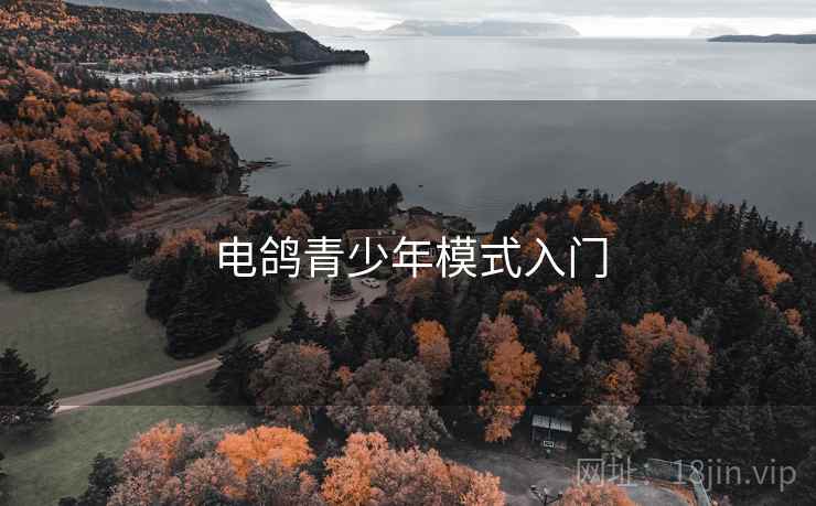 电鸽青少年模式入门
