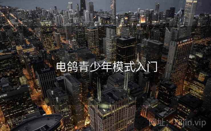 电鸽青少年模式入门