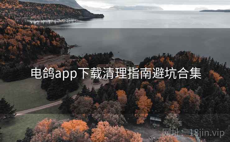 电鸽app下载清理指南避坑合集