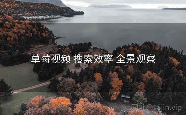 草莓视频 搜索效率 全景观察