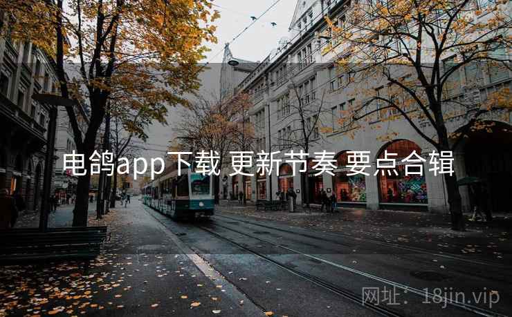 电鸽app下载 更新节奏 要点合辑