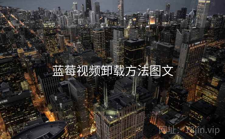 蓝莓视频卸载方法图文