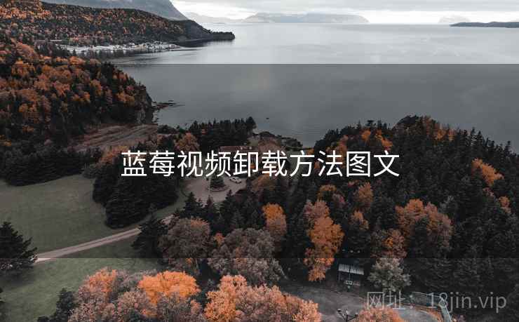 蓝莓视频卸载方法图文