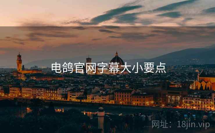 电鸽官网字幕大小要点