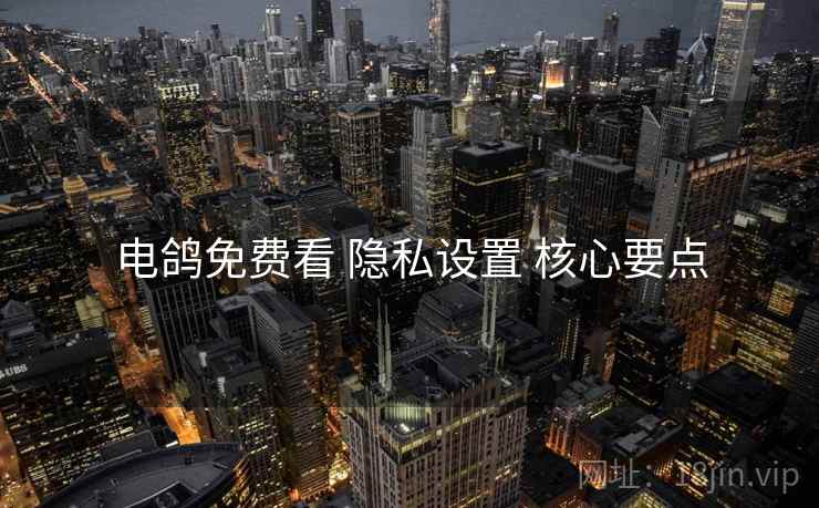 电鸽免费看 隐私设置 核心要点