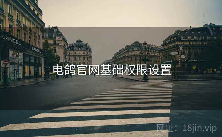 电鸽官网基础权限设置