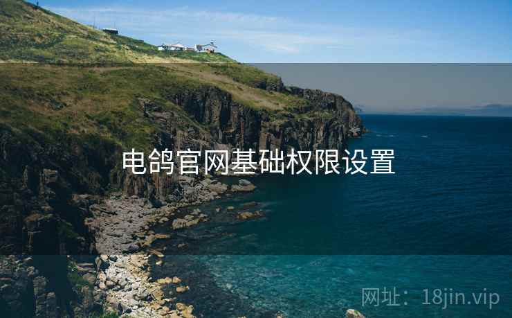 电鸽官网基础权限设置