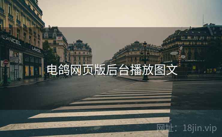 电鸽网页版后台播放图文
