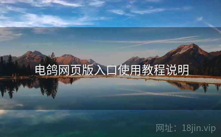 电鸽网页版入口使用教程说明