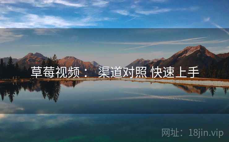 草莓视频 ： 渠道对照 快速上手