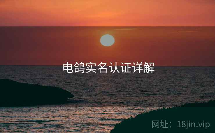 电鸽实名认证详解