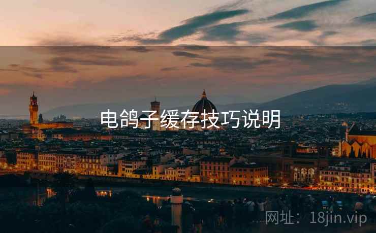 电鸽子缓存技巧说明