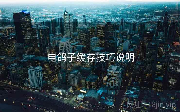 电鸽子缓存技巧说明