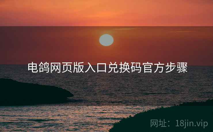 电鸽网页版入口兑换码官方步骤