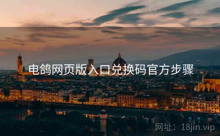电鸽网页版入口兑换码官方步骤