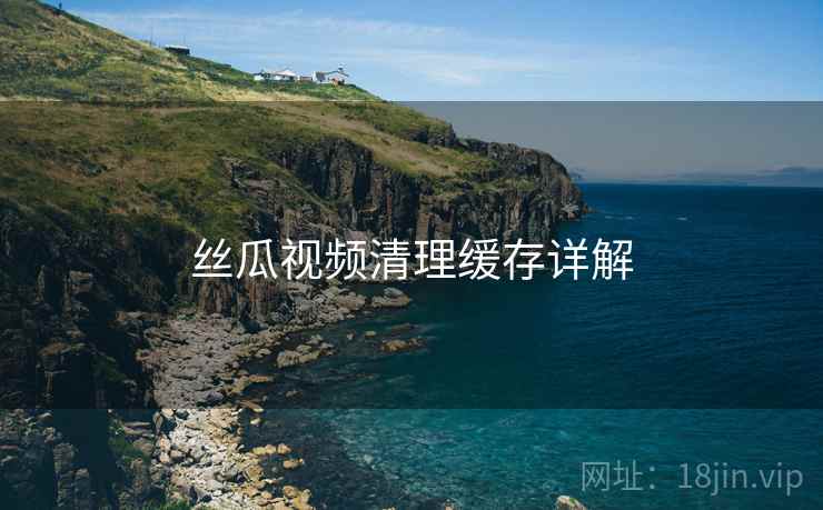 丝瓜视频清理缓存详解