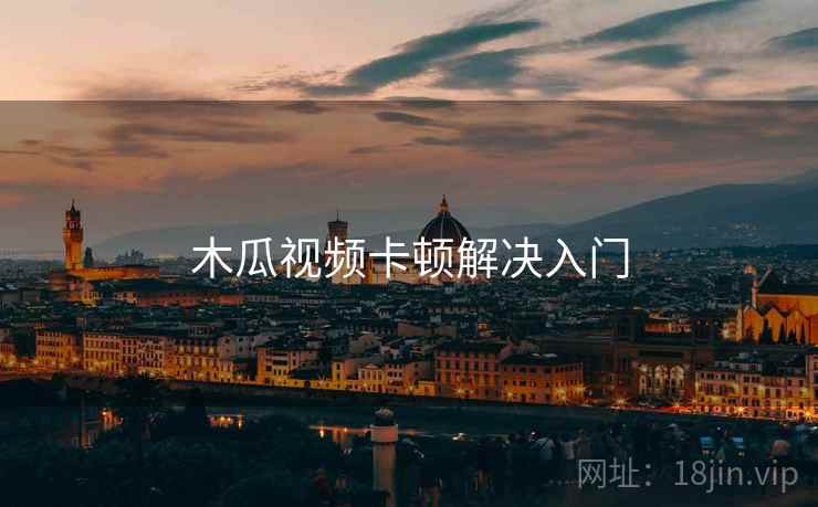 木瓜视频卡顿解决入门