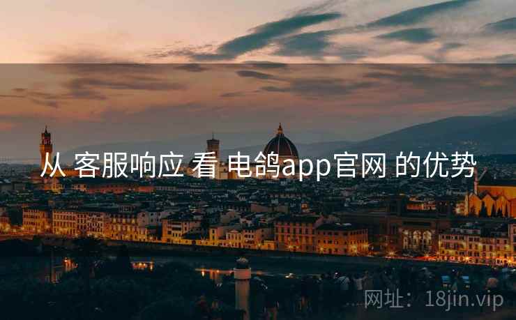 从 客服响应 看 电鸽app官网 的优势