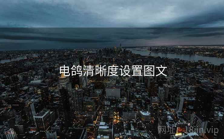 电鸽清晰度设置图文