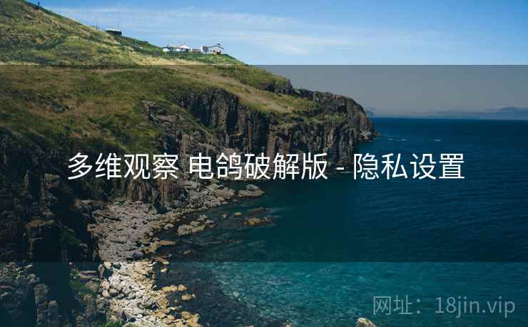 多维观察 电鸽破解版 - 隐私设置