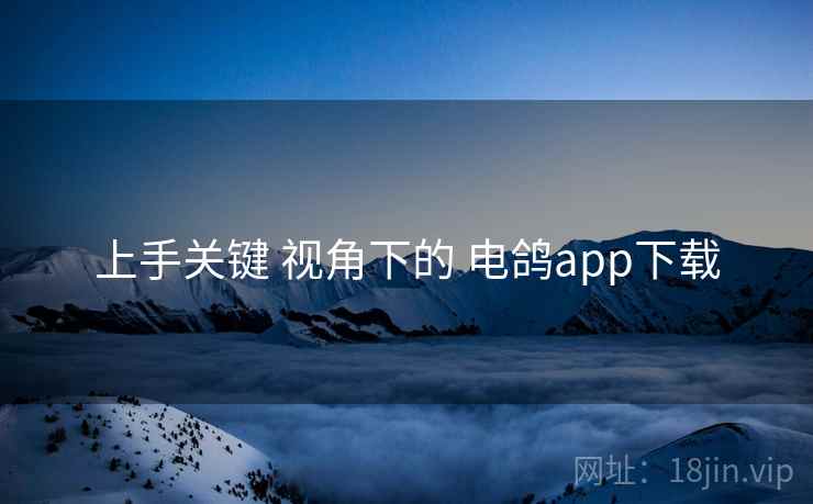 上手关键 视角下的 电鸽app下载