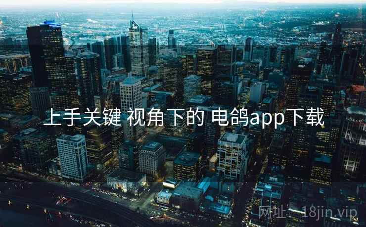 上手关键 视角下的 电鸽app下载