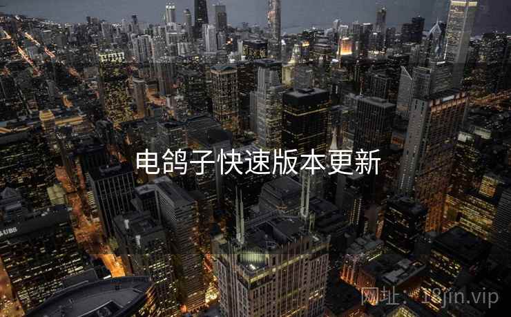 电鸽子快速版本更新